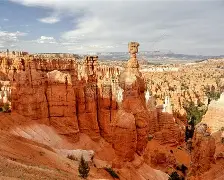 要想使其毁灭必先使其疯狂-友博平台