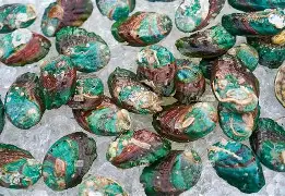 关于逃?7n?隄\噚????廓y蚌?惞?oeRQ的信息-友博娱乐